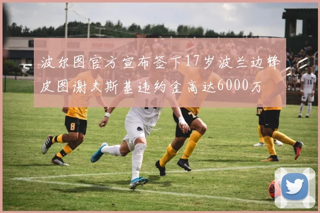 波尔图官方宣布签下17岁波兰边锋皮图谢夫斯基违约金高达6000万