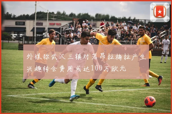 外媒称武汉三镇对若昂拉梅拉产生兴趣转会费用或达100万欧元