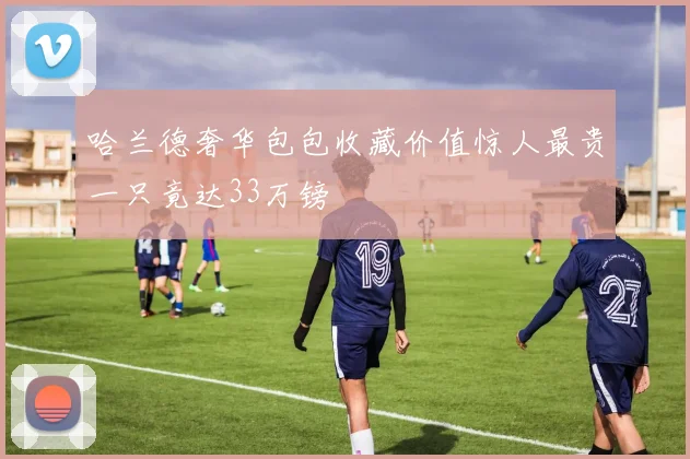 哈兰德奢华包包收藏价值惊人最贵一只竟达33万镑